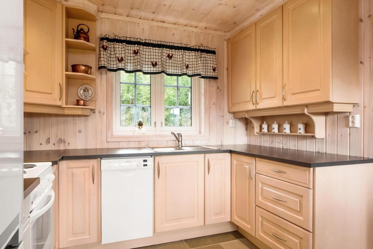 Reveenka - Cabin In Trysil With Jacuzzi For Rent 외부 사진