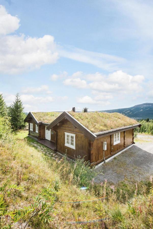 Reveenka - Cabin In Trysil With Jacuzzi For Rent 외부 사진