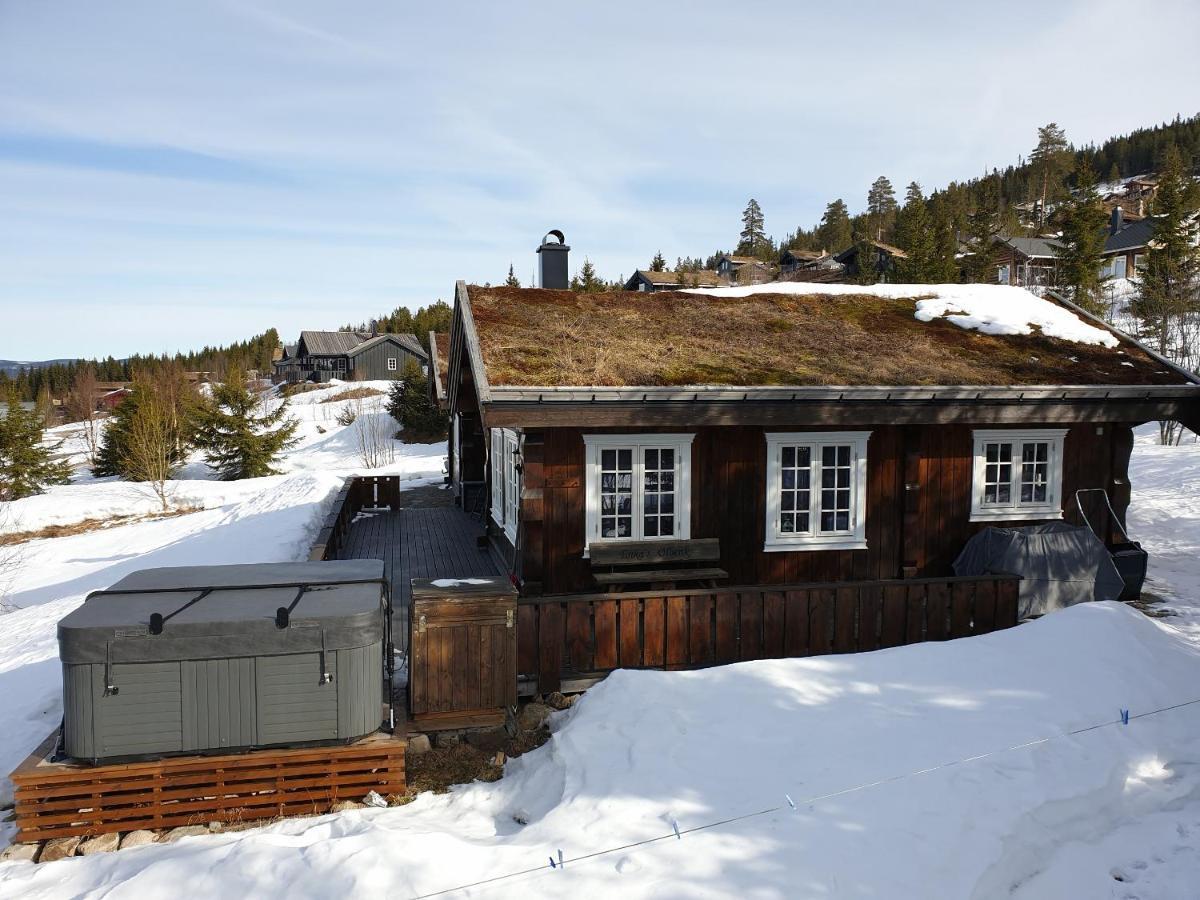 Reveenka - Cabin In Trysil With Jacuzzi For Rent 외부 사진