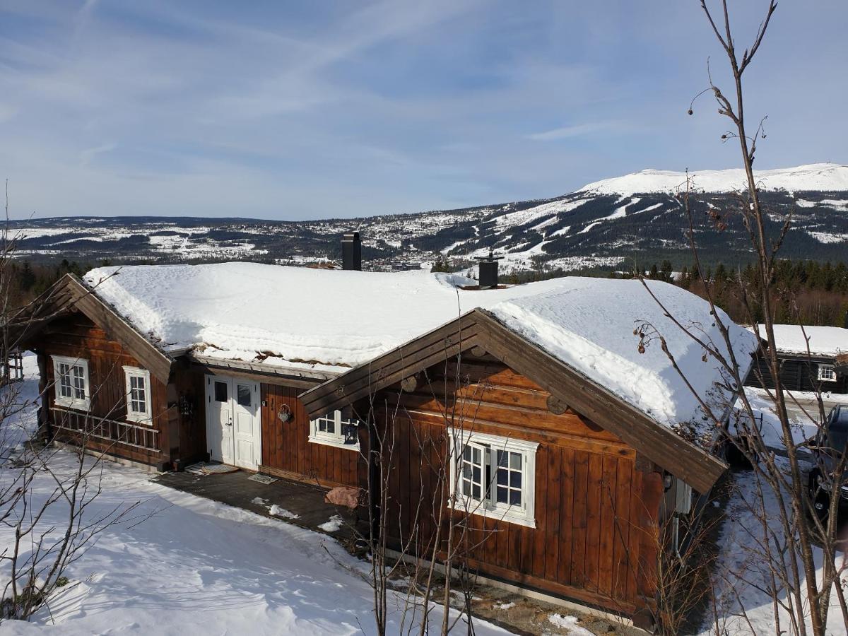 Reveenka - Cabin In Trysil With Jacuzzi For Rent 외부 사진