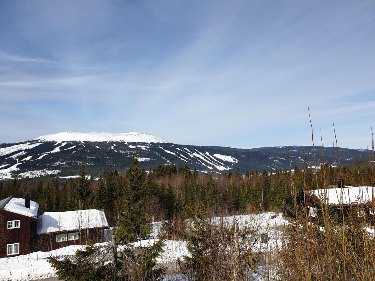 Reveenka - Cabin In Trysil With Jacuzzi For Rent 외부 사진