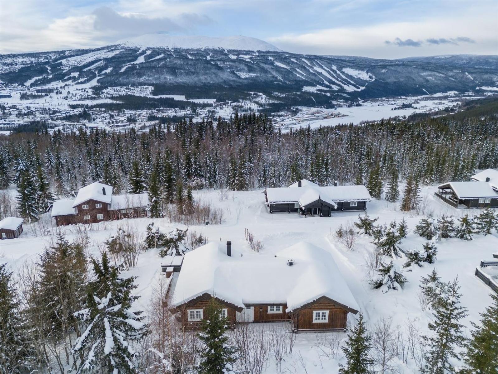 Reveenka - Cabin In Trysil With Jacuzzi For Rent 외부 사진