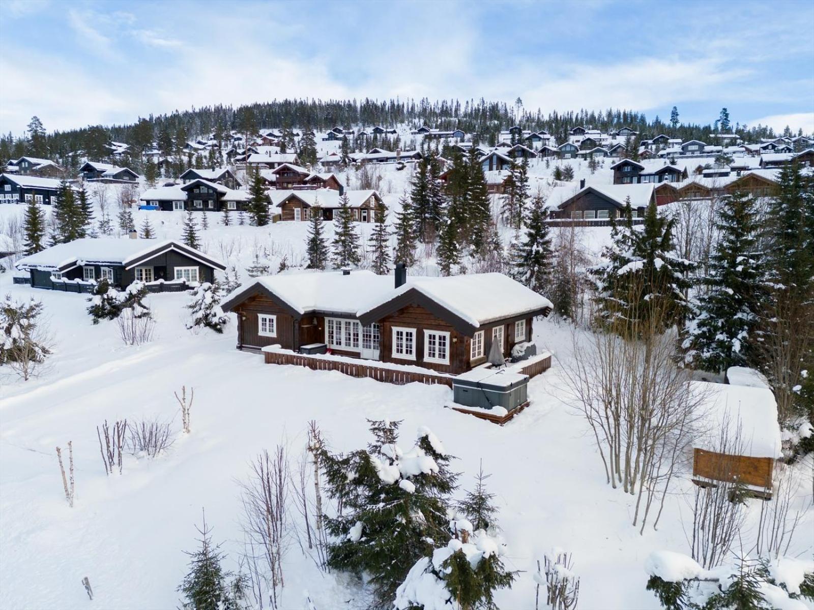 Reveenka - Cabin In Trysil With Jacuzzi For Rent 외부 사진