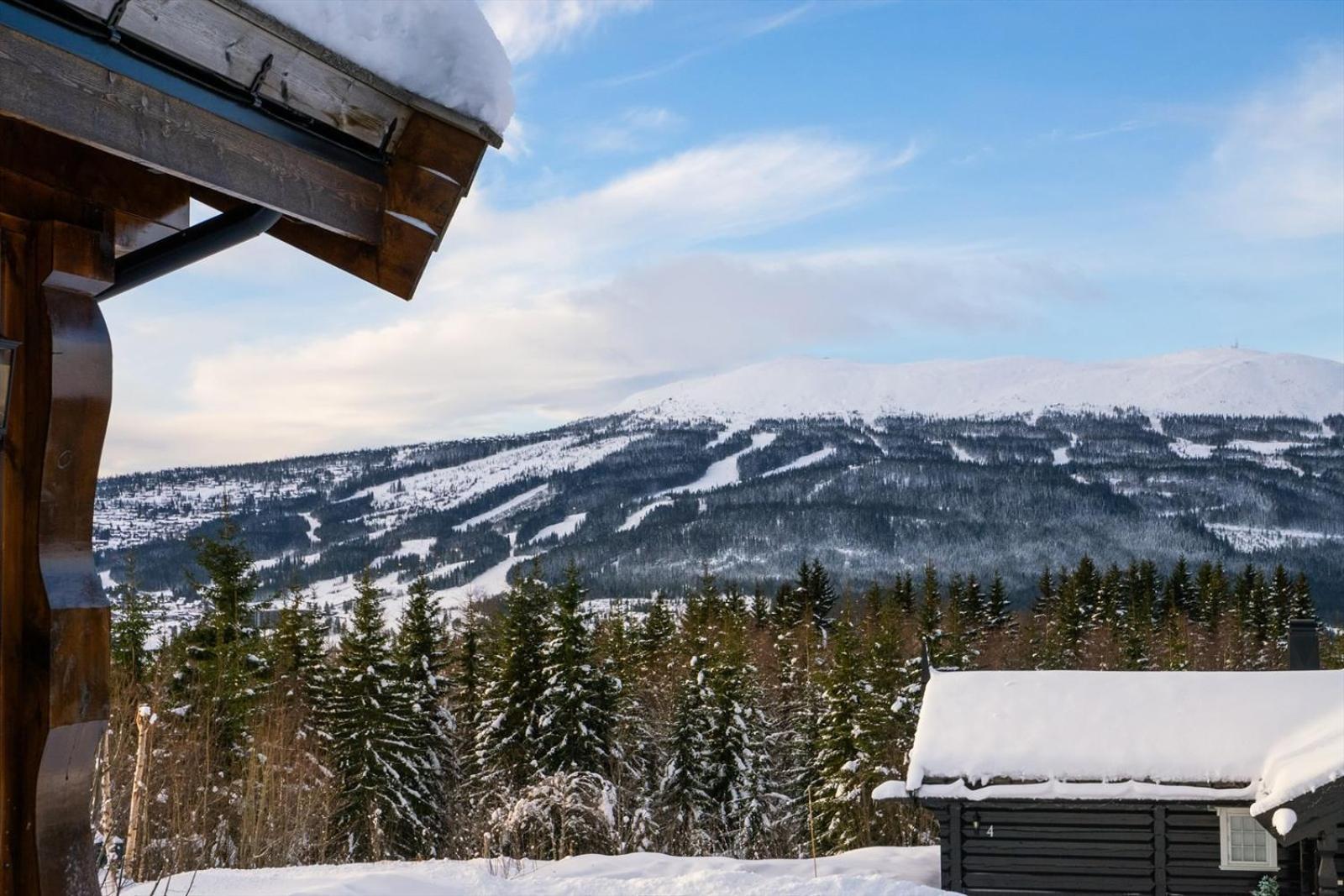 Reveenka - Cabin In Trysil With Jacuzzi For Rent 외부 사진