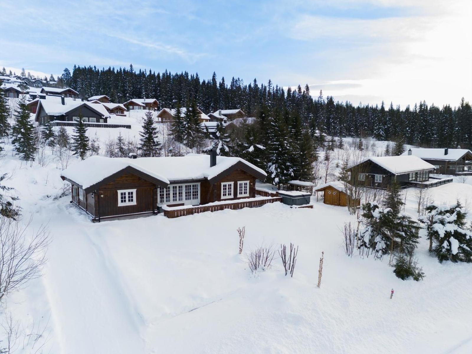 Reveenka - Cabin In Trysil With Jacuzzi For Rent 외부 사진